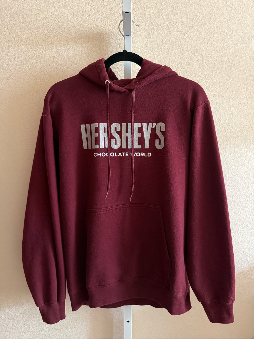 Hershey's Chocolate World Hoodie in Brown